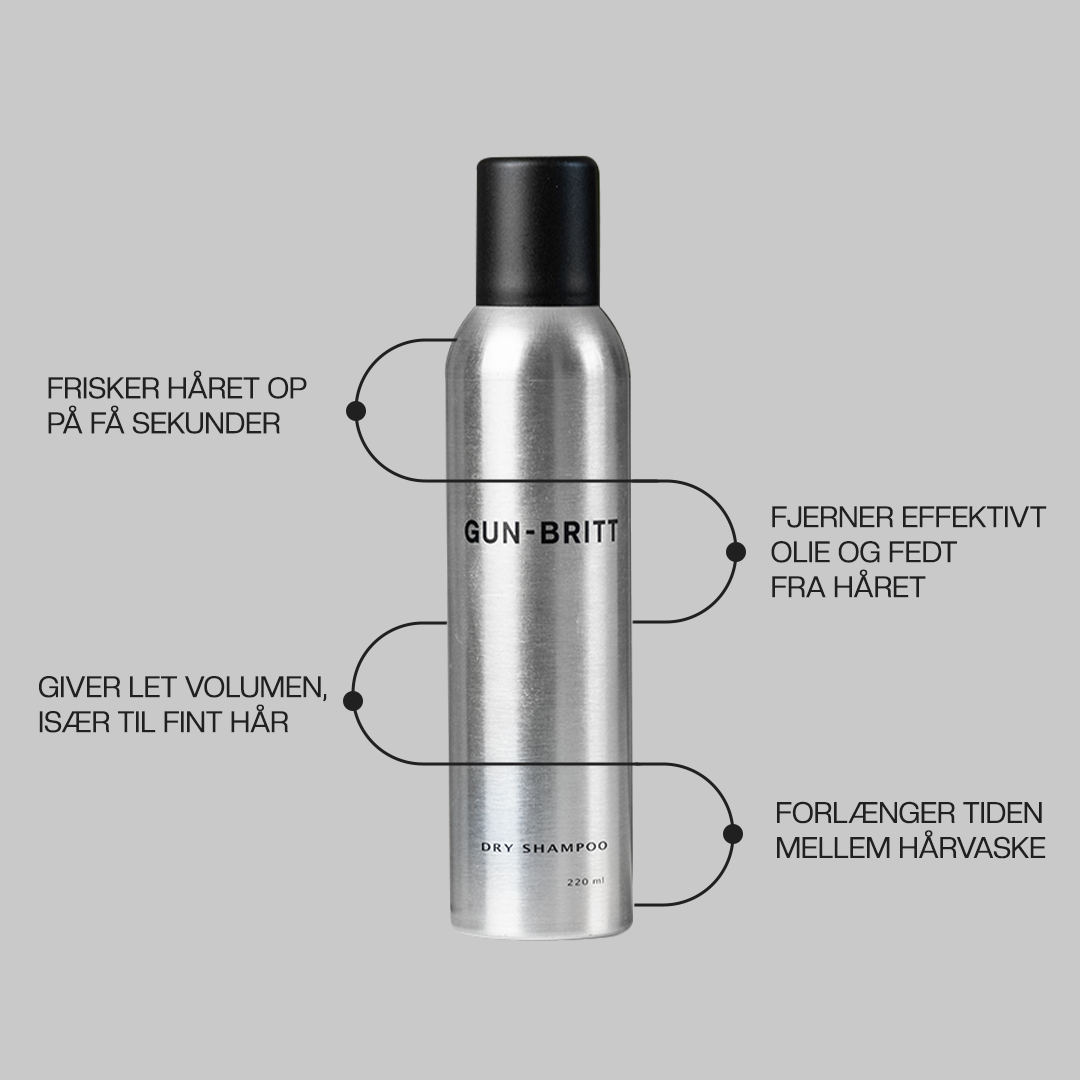 Gun-Britt Dry Shampoo 220 ml